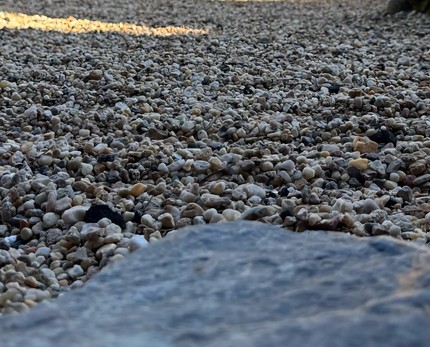 Zen-Sesshin im Wolkentor 2026